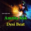 دانلود آهنگ Desi Beat از Amrita Kak
