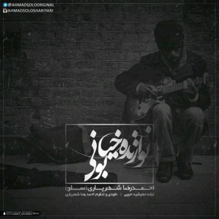 دانلود آهنگ نوازنده ی خیابونی از احمد سلو
