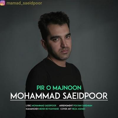 آهنگ محمد سعیدپور پیر و مجنون