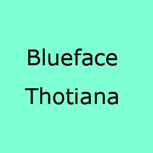 آهنگ جدید Thotiana Remix Blueface 
