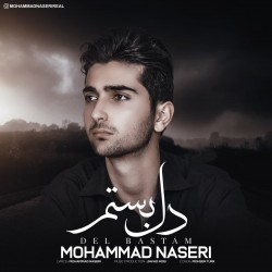 آهنگ محمد ناصری دل بستم
